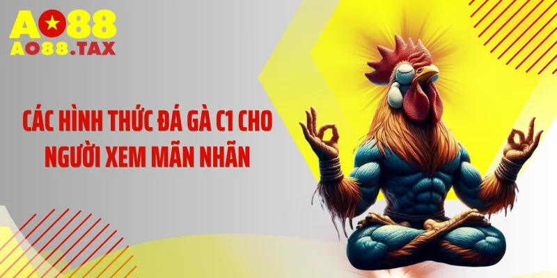 Đá Gà C1 Rực Lửa: Màn Đọ Sức Nghẹt Thở Đỉnh Cao 3 Các hình thức đá gà C1 cho người xem mãn nhãn
