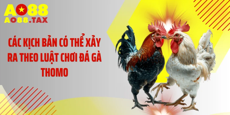 Tuyệt Chiêu Sống Còn - Luật Chơi Đá Gà Thomo Triệu Đô 5 Các kịch bản có thể xảy ra theo luật chơi đá gà Thomo