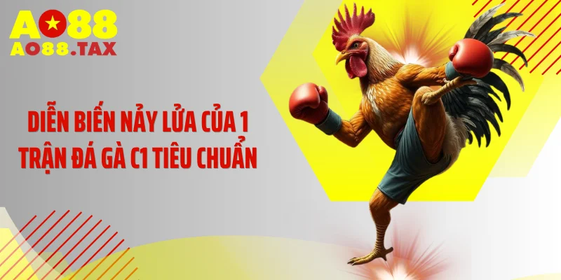 Đá Gà C1 Rực Lửa: Màn Đọ Sức Nghẹt Thở Đỉnh Cao 4 Diễn biến nảy lửa của 1 trận đá gà C1 tiêu chuẩn