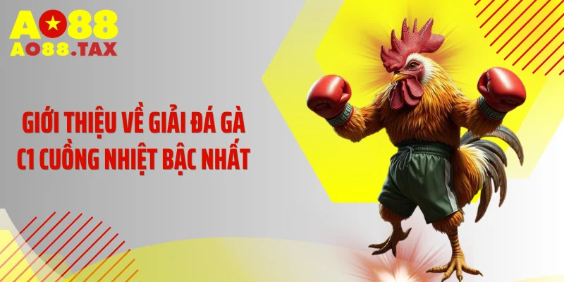 Đá Gà C1 Rực Lửa: Màn Đọ Sức Nghẹt Thở Đỉnh Cao 2 Giới thiệu về giải đá gà C1 cuồng nhiệt bậc nhất