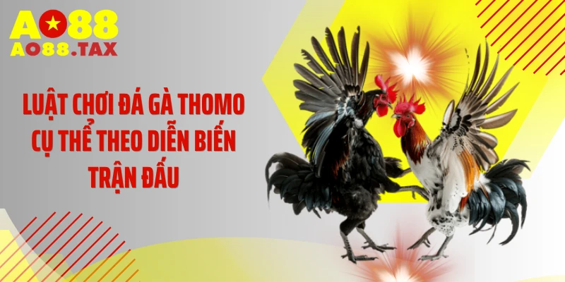 Tuyệt Chiêu Sống Còn - Luật Chơi Đá Gà Thomo Triệu Đô 4 Luật chơi đá gà Thomo cụ thể theo diễn biến trận đấu