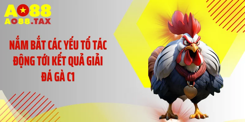 Đá Gà C1 Rực Lửa: Màn Đọ Sức Nghẹt Thở Đỉnh Cao 5 Nắm bắt các yếu tố tác động tới kết quả giải đá gà C1