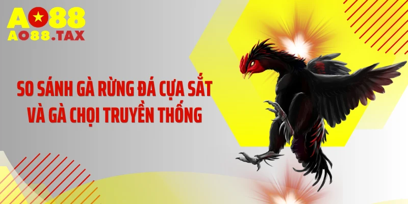 So sánh gà rừng đá cựa sắt và gà chọi truyền thống