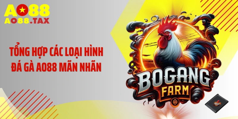 Tổng hợp các loại hình đá gà AO88 mãn nhãn